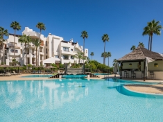 241308.jpg