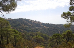 271532.jpg