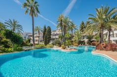 292770.jpg