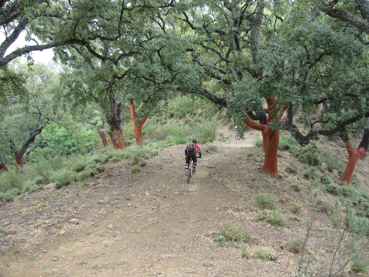 Mountainbiken Estepona