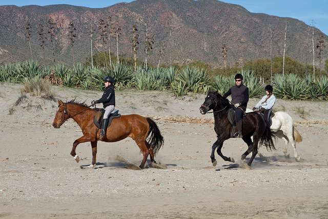 Paardrijden Almería