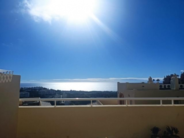BOMAAP9595_138523_V1_8E73.jpg