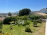 BCEABP338_11485_V0_2C84.jpg