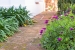 AVXADP1584_76823_V0_90D0.jpg