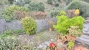 AWVADP910_33671_V0_D424.jpg