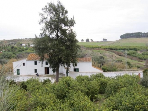 AYZABP545_13737_V0_E95F.jpg