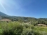 AWVADP930_34942_V0_E832.jpg