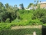AVEABP413_10290_V0_B203.jpg