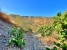 AWVADP963_36626_V0_B554.jpg
