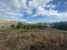 20-d1f7658cbe4ba6cd8666fec30fba80ad.jpg
