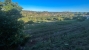 36-be7efbbd8b294061d3f27cb7c37865bb.jpg