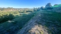 37-1d70d218e897435ff17cdff8e99bb5bf.jpg