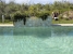 29-7c2f312881aea9bbe9ddaeb9640e2c9a.jpg