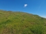 19-d0ed7da2012a09046d307c195d98e7d6.jpg