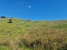 20-d1f7658cbe4ba6cd8666fec30fba80ad.jpg