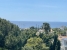 1-7980e48d732b6fc85c14b43b94d2aa54.jpg