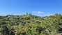8-e64a9055bba3e77ac8aca3b893cdf826.jpg