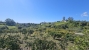 9-467d0cee5b725f3ef65f102a0c2e69c0.jpg