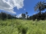 4-c23c0f86247804fa50226aecd8b0b2c8.jpg