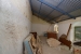 20-d1f7658cbe4ba6cd8666fec30fba80ad.jpg