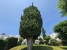 5-3595ad71cbd87be6c3643a4285ef4791.jpg