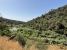 9-467d0cee5b725f3ef65f102a0c2e69c0.jpg