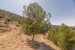 5-3595ad71cbd87be6c3643a4285ef4791.jpg