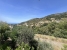 7-aa4cc561180b369757c0bb4af9886cd3.jpg
